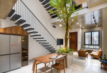 Tổng hợp 10 loại cây thân gỗ đẹp cho không gian nhà phố