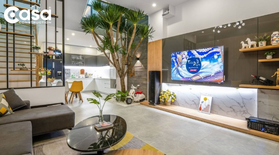 Cây phát tài núi lá dài xanh mướt, trồng gần cửa sổ nhà phố mang lại tài lộc.