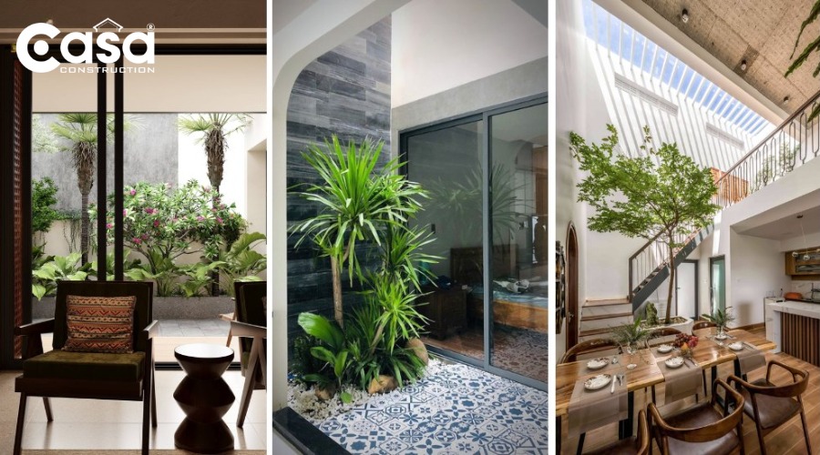 Tổng hợp loại cây thân gỗ đẹp cho không gian nhà phố